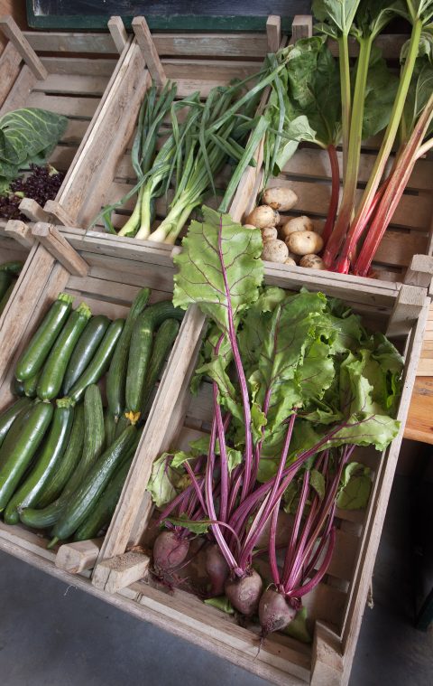 het groenteschap verandert steeds van kleur.