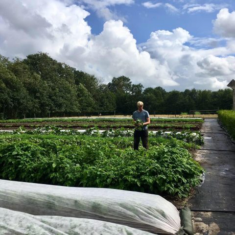 Gosse aan het werk op de tuin
