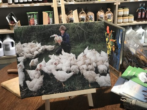 Juist nu in de kleinschalige boeren investeren