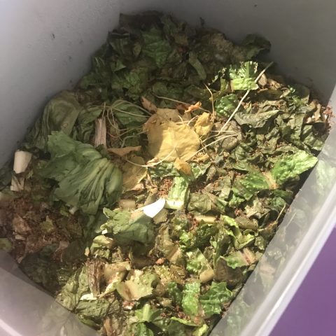 Bokashi voeding voor de bodem