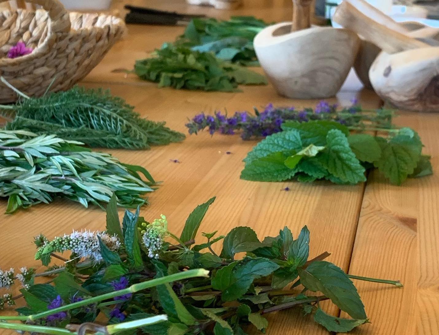 Workshop door Marlies van de Polderkol – Jouw dagelijkse kost